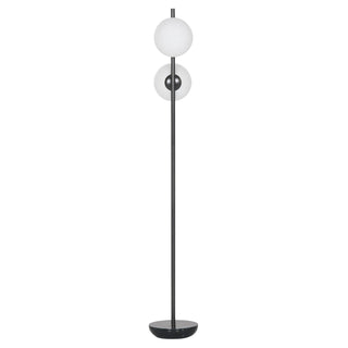 Lexi Floor Lamp - Floor Lamp