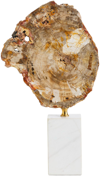 Eton Fossiled Timber Statue – Tall - Decor