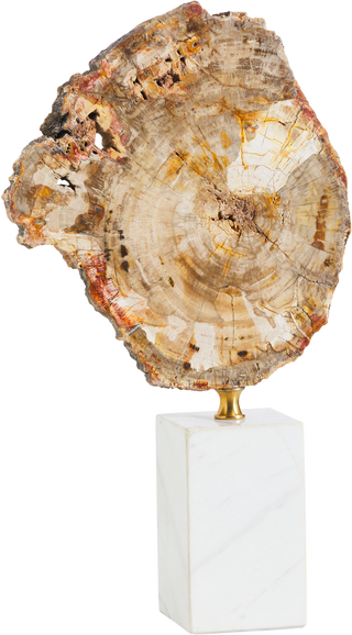 Eton Fossiled Timber Statue – Tall - Decor