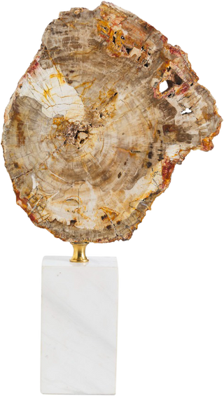 Eton Fossiled Timber Statue – Tall - Decor