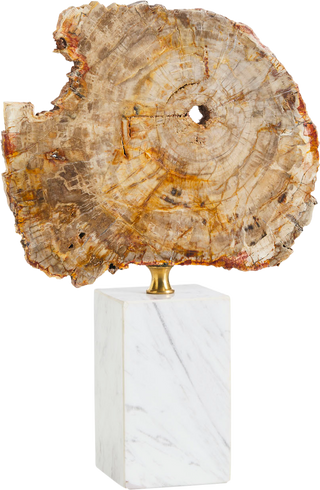 Eton Fossiled Timber Statue – Short - Decor