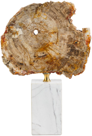 Eton Fossiled Timber Statue – Short - Decor