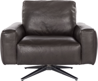 The Soren Swivel Chair - Accent Chair